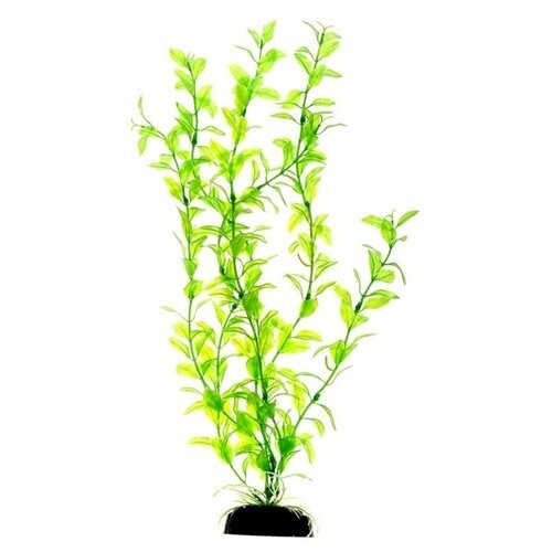 Растение Гигрофила зелёная пластик 34см