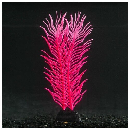 Растение силиконовое аквариумное, светящееся в темноте, 6,5 х 18 см, розовое./В упаковке шт: 1