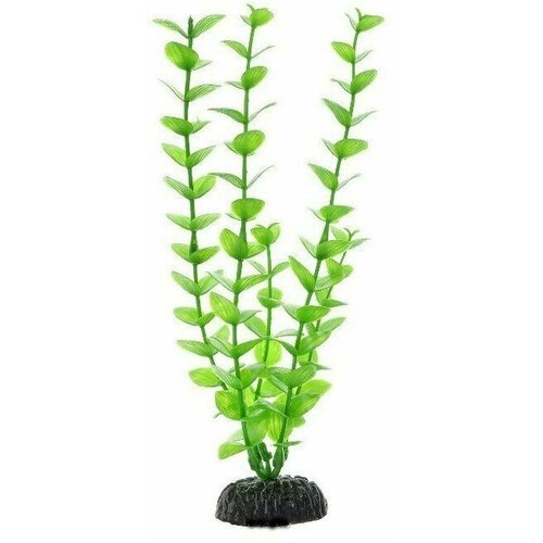 Пластиковое растение Barbus Бакопа зеленая 20 см.