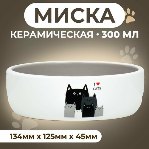 Миска керамическая 'Любимые коты' 300 мл 13,4 x 4 cм, серо-белая