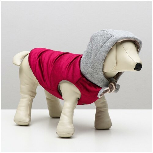 Куртка для собак зимняя, M (ОШ 26-30, ОГ 36-40, ДС 28 см), красная