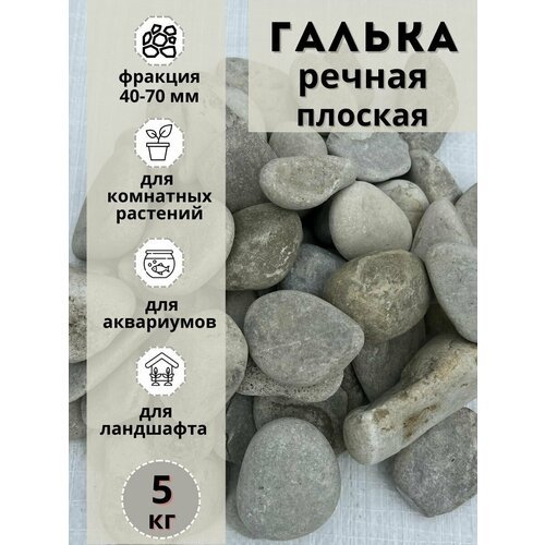 Галька речная светлая плоская 40-70мм (5кг) Грунт для аквариума/террариума