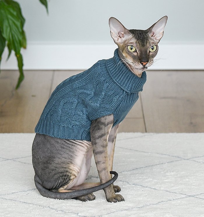 Lelap одежда Lelap одежда свитер для кошек и собак 'Bloom' голубой (S)
