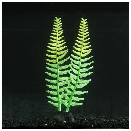 Sima-land Растение силиконовое аквариумное, светящееся в темноте, 8 х 23 см, зелёное