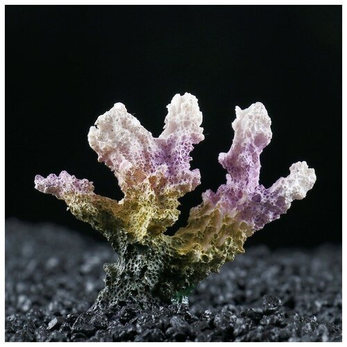 Декоративный коралл Синулярия, 7 х 4 х 7 см./В упаковке шт: 1