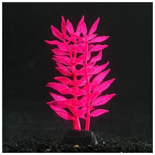 Sima-land Растение силиконовое аквариумное, светящееся в темноте, 8 х 15 см, розовое