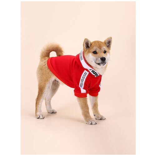 Теплое худи для собак красное (Размер: L) окружность шеи 39 см ; грудь собаки 48 см; Длина спинки 34 см;