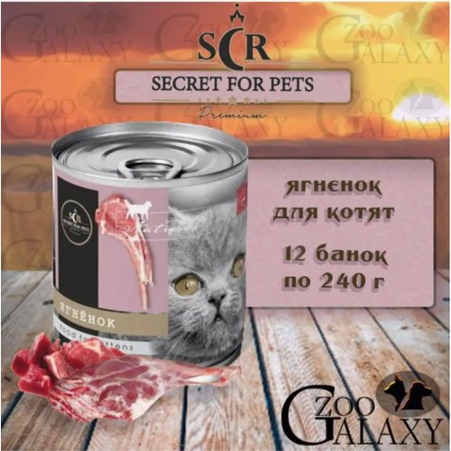 SECRET FOR PETS Premium Консервы для котят ягненок, 12х240 г
