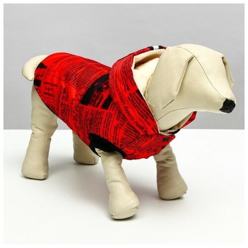 ___ Куртка для собак 'Газета', размер M (ДС 30, ОШ 32, ОГ 44 см), красно-чёрная