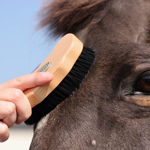 Щетка для чистки головы лошади SHIRES EZI-GROOM 'Premium' (Великобритания)
