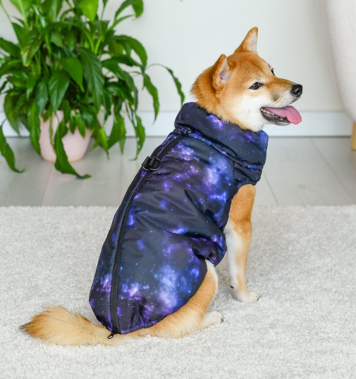 Tappi одежда Tappi одежда жилет 'Антарес' для собак (XL)