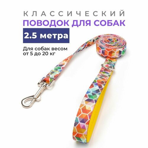 Поводок для собак 'Пестрый калейдоскоп' - 2,5 метра, ширина 2 см, нейлон