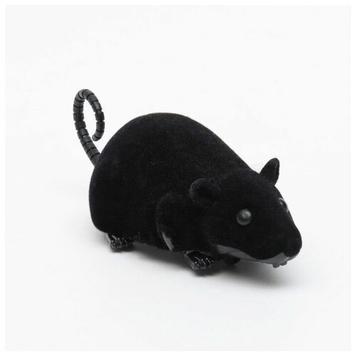 Кошачья игрушка - мышь заводная бархатная, 12 см, черная