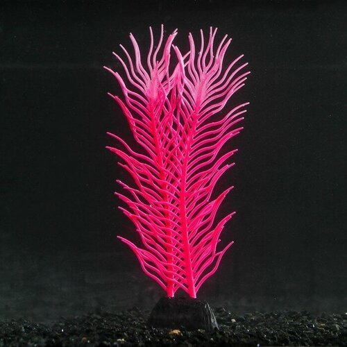 Sima-land Растение силиконовое аквариумное, светящееся в темноте, 6,5 х 18 см, розовое