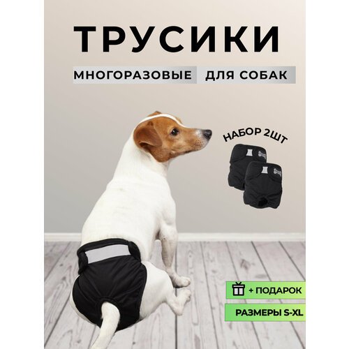 Набор многоразовых трусов для собак, размер S, цвет черный