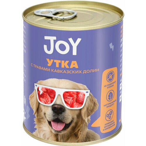Джой 11900 консервы для собак средних и крупных пород беззерновые Утка с травами кавказских долин 340г