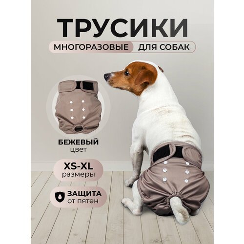 Многоразовые трусы для собак при течке, XL, бежевые