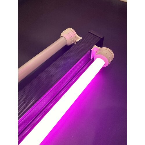 Лампа Т8 15W (435 мм) BIO LUX розовая / фито лампа для живых растений, яркости аквариума, люминисцентная