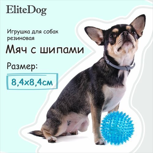 Игрушка для собак резиновая EliteDog 'Мяч с шипами', голубая, S, 8.4см