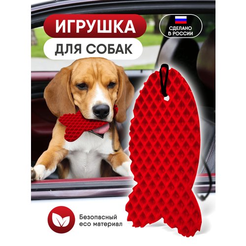 Игрушка для собак рыбка красная