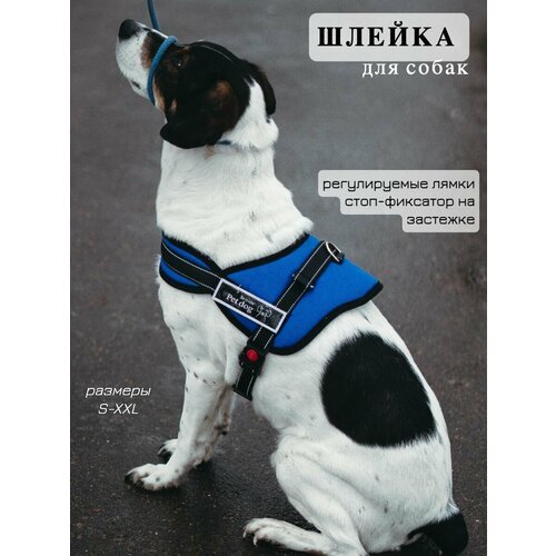 Шлейка для собак анатомическая, размер L, для крупных, средних и мелких пород