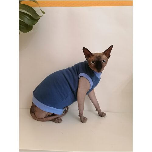 Свитшот для кошек, размер 35 (длина спины 35см), цвет индиго / толстовка свитшот свитер для кошек сфинкс / одежда для животных