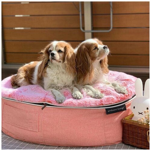 Прочный лежак для собак средних пород Pet Lounge, Ballerina Pink (розовый), со съемным чехлом, 70x90 см - для джек рассела, кокер-спаниеля, фокстерьера, сиба ину