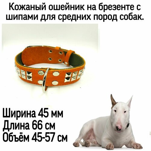 Кожаный ошейник на брезенте для собак средних пород, ширина 45 мм, длина 66 см, объём шеи 45-57 см.