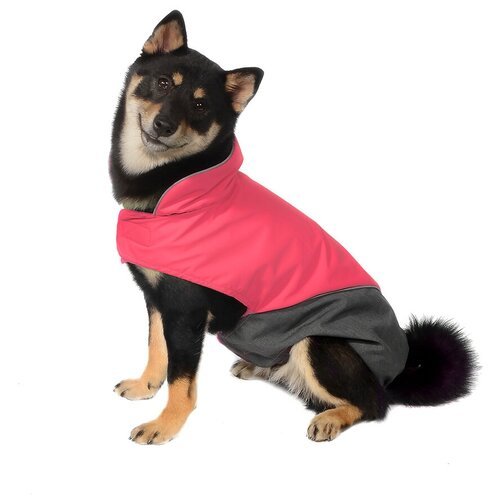 Tappi одежда Попона Блант для собак розовая, размер 2XL, спинка 46 см, лд22ос, 0,144 кг