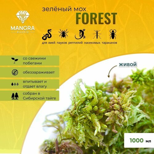 Мох живой MANGRA exotic Forest зеленый из Сибирской тайги для террариума, 1000 мл, для рептилий и насекомых