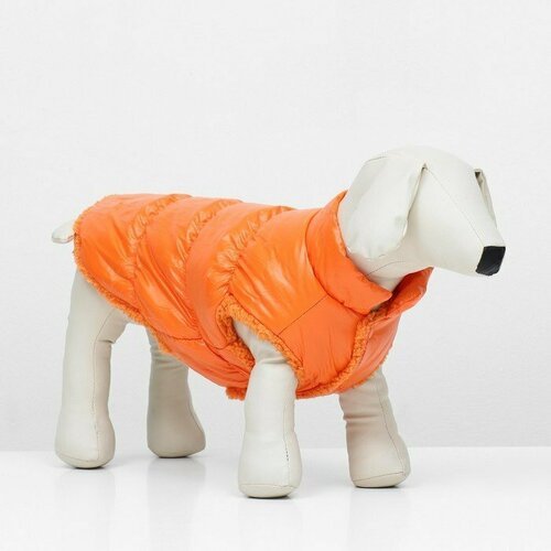 Куртка для собак 'Блеск', XS (ДС 20, ОГ 28, ОШ 19 см, до 3 кг), оранжевая (комплект из 2 шт)