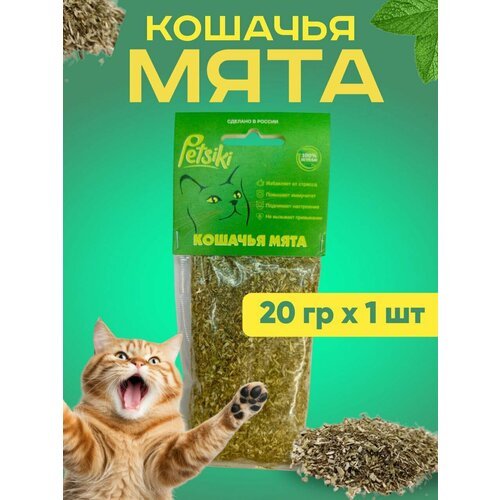 Кошачья мята 20 грамм