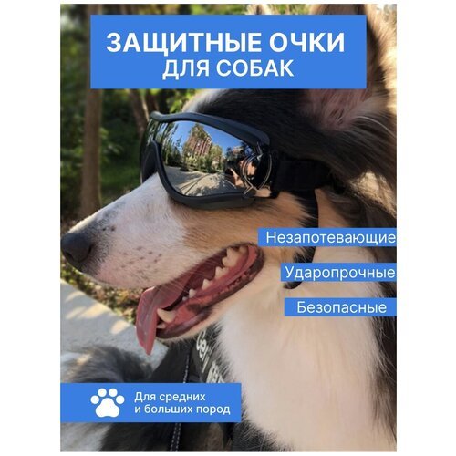 Защитные очки для собак