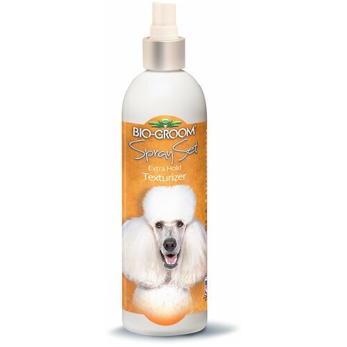 Bio-Groom Spray Set спрей текстурирующий закрепляющий 355 мл