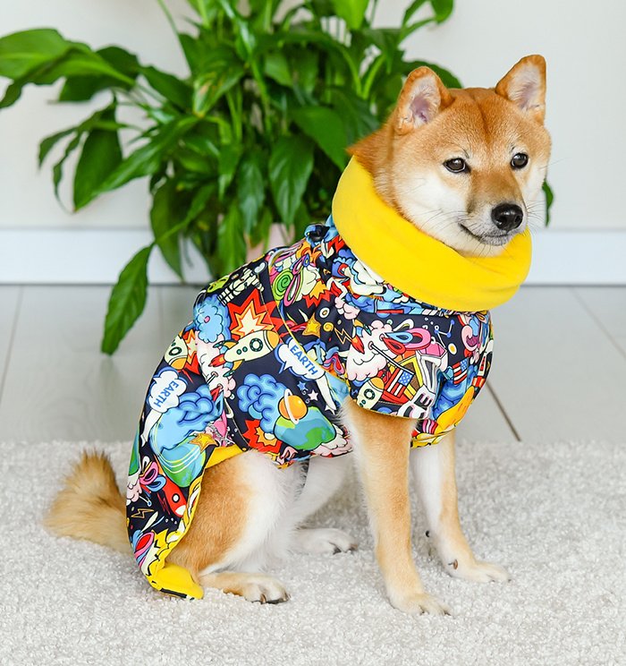 Tappi одежда Tappi одежда попона 'Галактика' для собак (XL)