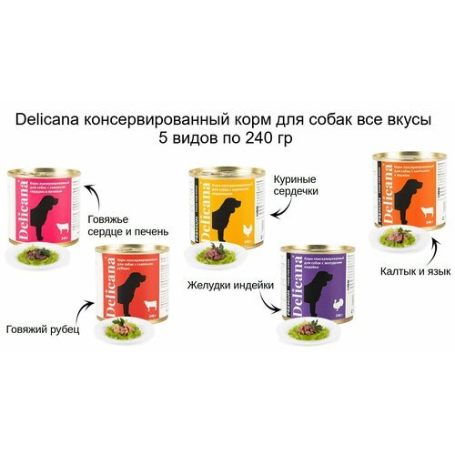 Delicana консервированный корм для собак все вкусы 5 видов по 240 гр (1,2 кг)