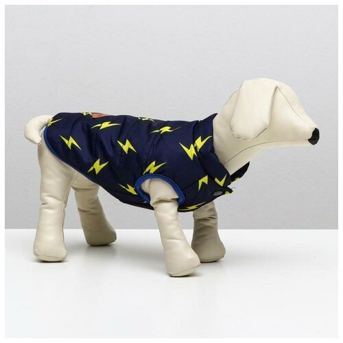 Куртка для собак 'Молния', XXL (ДС 40 см, ОШ 35 см, ОГ 55 см), тёмно-синяя