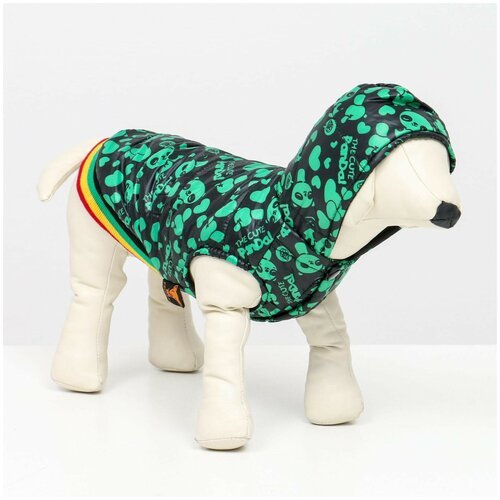 Курточка для собак 'Пятнашки', размер 2 (ДС 23,ОШ 26, ОГ 33 см), зелёная 7018350
