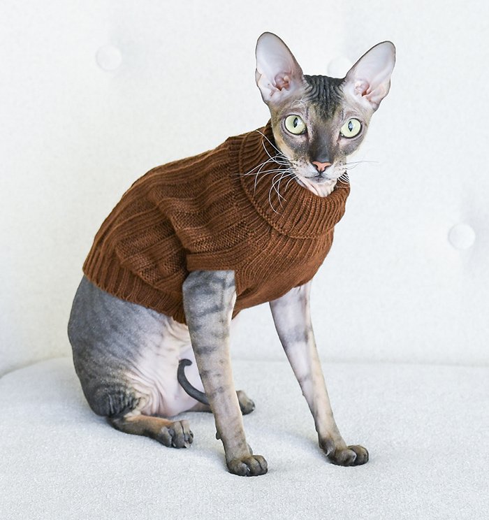 Lelap одежда Lelap одежда свитер для кошек и собак 'Libre' коричневый (XS)