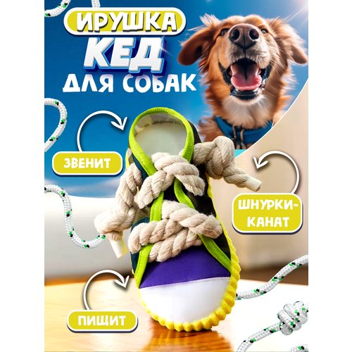 Игрушки для собак 'Кед' от NicePets