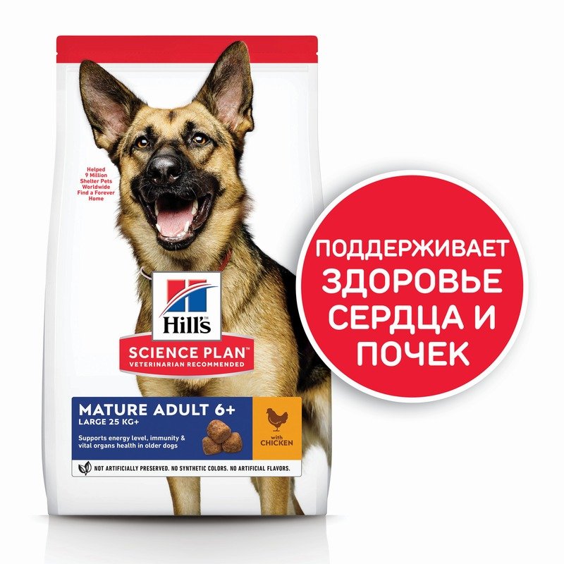 Hills Science Plan Dog Mature Chicken сухой корм для пожилых собак крупных пород для поддержания здоровой мышечной массы и свободы движений, с курицей - 12 кг