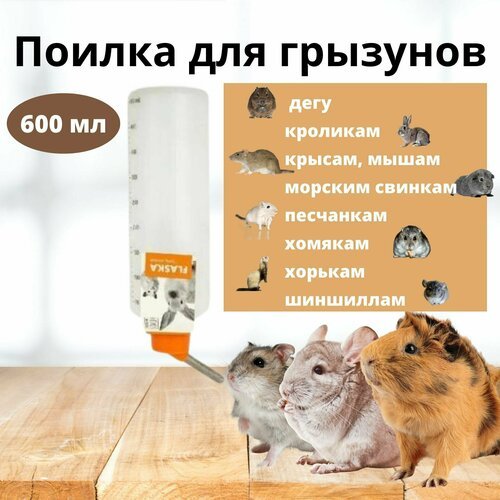 Поилка для грызунов, размер XL, 600 мл, M-PETS