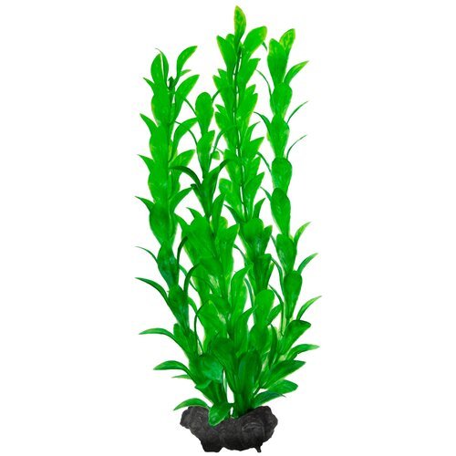 Искусственное растение Tetra Hygrophila M 23 см зеленый