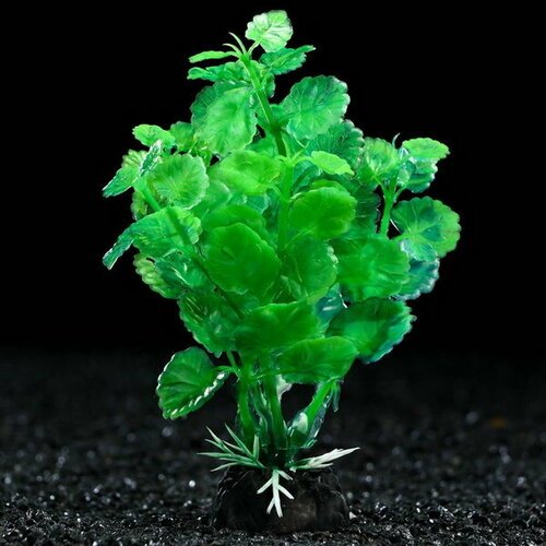 Растение искусственное аквариумное, 3 x 13 см, зелёное, 5 шт.