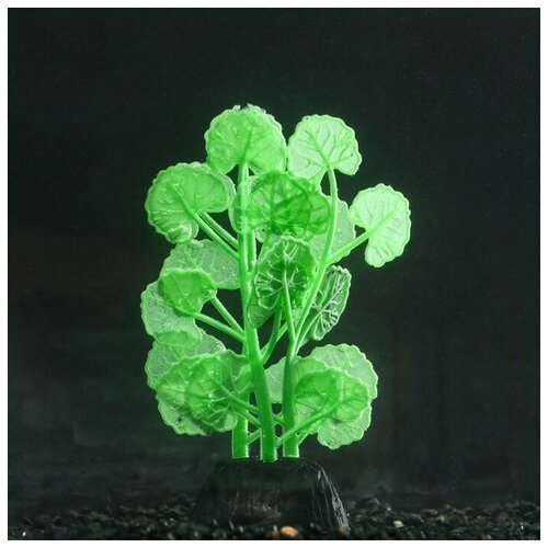 Sima-land Растение силиконовое аквариумное, светящееся в темноте, 7 х 11 см, зелёное