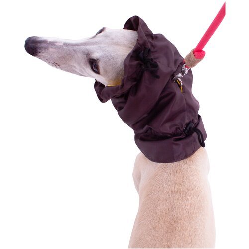 Снуд шапка для собак непромокаемый Монморанси, коричневый, размер S
