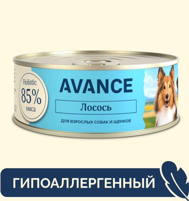 AVANCE holistic консервы AVANCE holistic консервы для собак и щенков с лососем, Natural&Healthy Salmon (100 г)