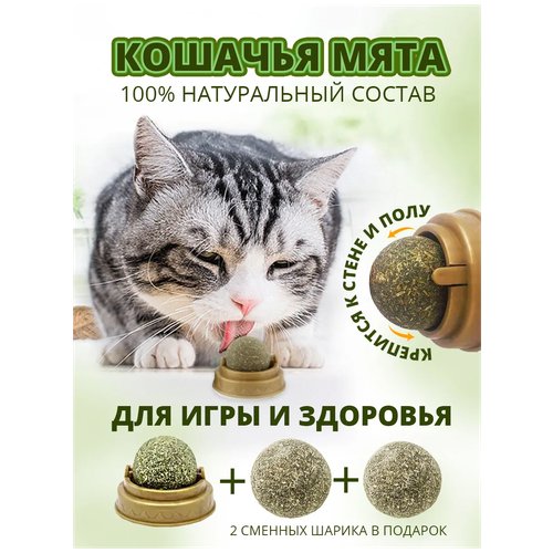 Лакомства для кошек, кошачья мята, конфета для кошки, леденец для кота, игрушки для кошек. Набор для кошек
