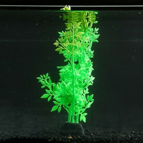 Sima-land Растение силиконовое аквариумное, светящееся в темноте, 8 х 24 см, зелёное