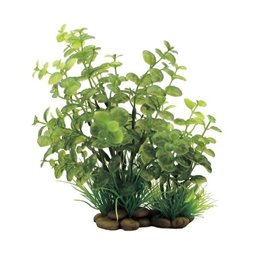 Искусственное растение ArtUniq Кардамин 20 см 20 см зеленый